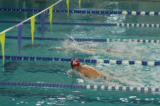 乐鱼体育app官网入口-全国游泳冠军赛新星频出成绩突破预期,全国游泳冠军赛2021成绩